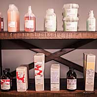 Shelter Salon Products
